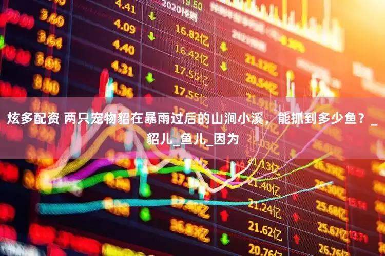 炫多配资 两只宠物貂在暴雨过后的山涧小溪，能抓到多少鱼？_貂儿_鱼儿_因为