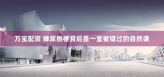 万宝配资 蝉尿热梗背后是一堂被错过的自然课
