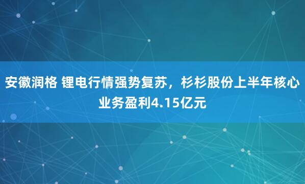 安徽润格 锂电行情强势复苏，杉杉股份上半年核心业务盈利4.15亿元