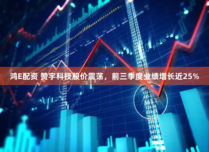 鸿E配资 赞宇科技股价震荡，前三季度业绩增长近25%